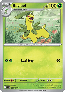 Bayleef - Pokemon Ascended Heroes #9/217