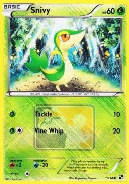 Snivy Black &amp; White #1