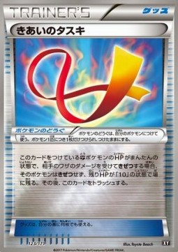 Focus Sash The Best of XY #123