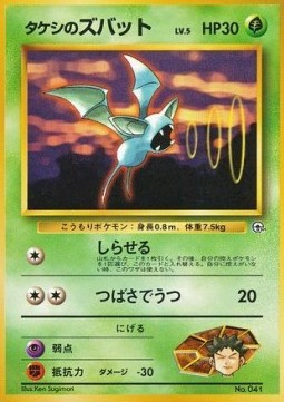 Brock's Zubat Nivi City Gym #