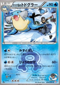 Team Aqua's Sealeo Magma Gang VS Aqua Gang: Double Crisis #