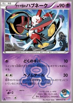 Team Aqua's Seviper Magma Gang VS Aqua Gang: Double Crisis #