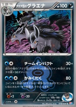 Team Aqua's Mightyena Magma Gang VS Aqua Gang: Double Crisis #