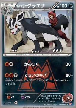 Team Magma's Mightyena Magma Gang VS Aqua Gang: Double Crisis #