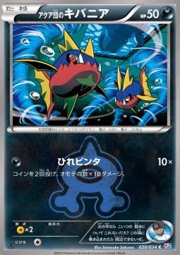 Team Aqua's Carvanha Magma Gang VS Aqua Gang: Double Crisis #