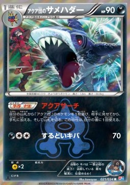 Team Aqua's Sharpedo Magma Gang VS Aqua Gang: Double Crisis #21