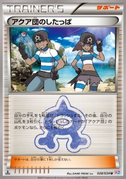 Team Aqua Grunt Magma Gang VS Aqua Gang: Double Crisis #
