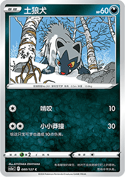 Poochyena - Brave Stars - Charm #080