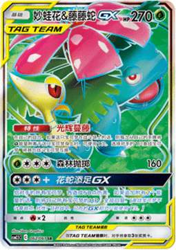 Venusaur & Snivy GX - Striking Competition #062