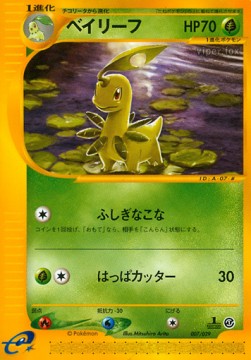 Bayleef Base Expansion Pack #07