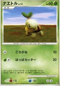 Turtwig Lv.11 Entry Pack '08 #08