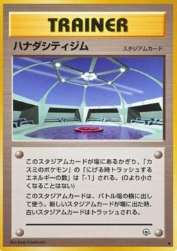 Cerulean City Gym Leaders' Stadium #