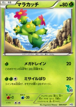 Maractus Beginning Set #