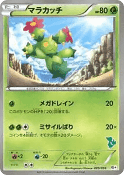 Maractus - Beginning Set Plus #005