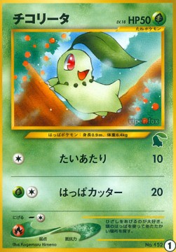Chikorita Intro Pack Neo Chikorita #1