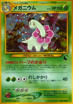 Meganium Intro Pack Neo Chikorita #