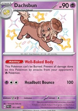 Dachsbun - Paldean Fates #161/91