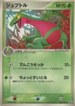 Grovyle PCG Promos #081