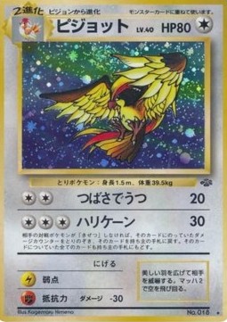 Pidgeot Pokémon Jungle #