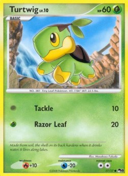Turtwig Lv.10 POP Series 8 #17/17
