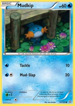 Mudkip - Primal Clash #33/160