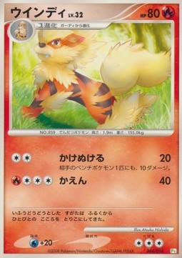 Arcanine Lv.32 Turtwig DPt Half Deck #004