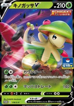 Breloom V Sword &amp; Shield Promos #