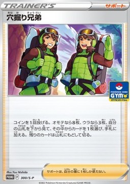 Digging Duo Sword & Shield Promos #300