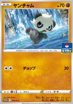 Pancham Sword & Shield Promos #313