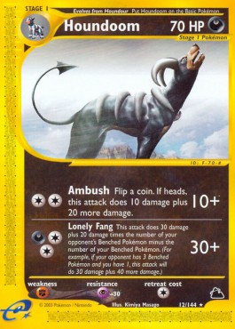 Houndoom Skyridge #12/144