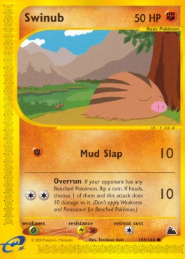 Swinub - Skyridge #108/144