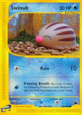 Swinub - Skyridge #107/144