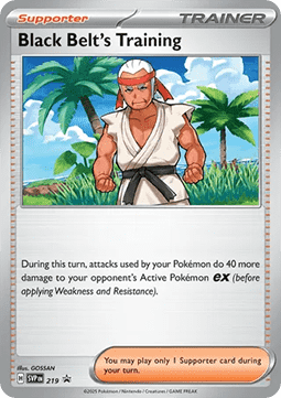Black Belt's Training SV Black Star Promos #219/248
