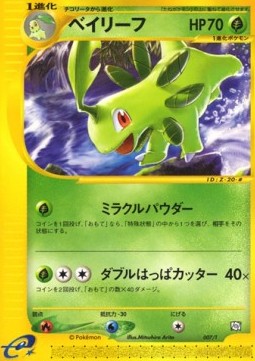 Bayleef T Promos #