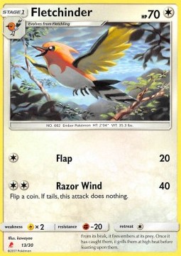 Fletchinder SM Trainer Kit: Lycanroc &amp; Alolan Raichu #13