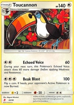 Toucannon SM Trainer Kit: Lycanroc &amp; Alolan Raichu #22