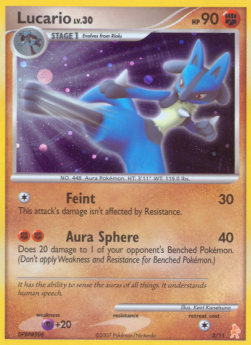 Lucario Lv.30 DP Trainer Kit #
