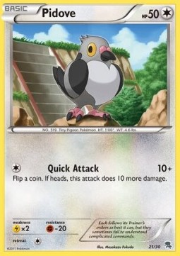 Pidove BW Trainer Kit #521