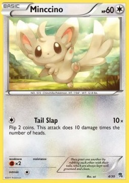 Minccino BW Trainer Kit #54
