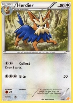 Herdier BW Trainer Kit #519