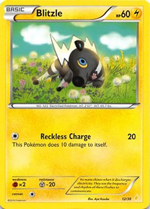 Blitzle XY Trainer Kit: Pikachu Libre &amp; Suicune #12