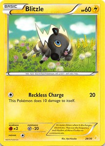 Blitzle XY Trainer Kit: Pikachu Libre &amp; Suicune #26