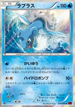 Lapras - Collection Y #18