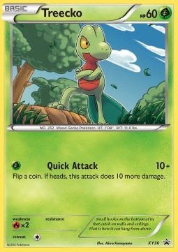Treecko - XY Black Star Promos #36/211
