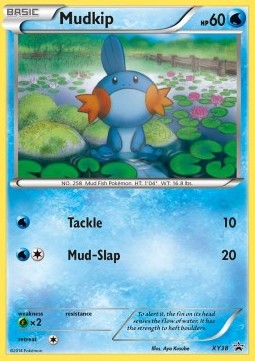 Mudkip - XY Black Star Promos #38/211