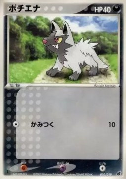 Poochyena Torchic Constructed Starter Deck #010