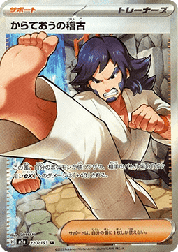 Black Belt's Training MEGA Dream ex #220
