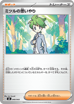 Wally's Compassion Premium Trainer Box MEGA #040