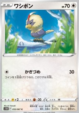 Rufflet - Time Gazer #55