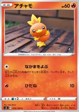 Torchic - Infinity Zone #10